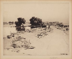 Saules du Cap Ann - Charles A. Platt