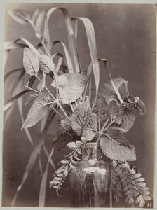 Étude de fleurs avec bouteille en verre
