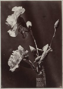 Étude de fleurs avec vase en verre
