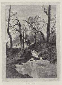 La Cascade dans le parc de Hawarden - Charles Auguste Loye