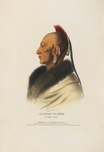  - Charles Balthazar Julien Févret de Saint-Mémin