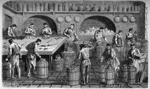 Le Glacier des cuisines du Palais des Tuileries, en 1864. Gravure de F. Lix et Barbant d