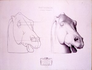 Tête de cheval du fronton ouest du Parthénon, planche 47 du Cours de Dessin, c.1898