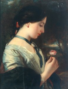 Une rose anglaise