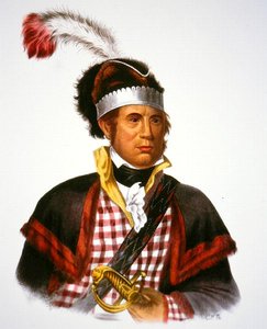 Chef McIntosh, illustration de 