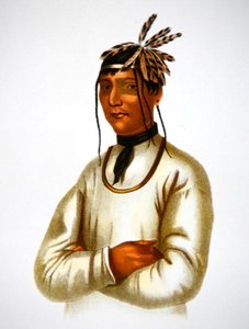 Caatousee de la tribu Chippewa (lithographie en couleur) - Charles Bird King