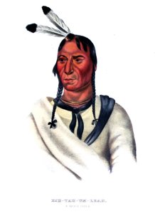 Eshtahumbah (Yeux endormis), un chef Sioux - Charles Bird King