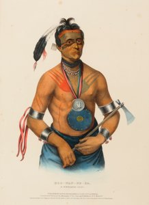 HOO-WAN-NE-KA, CHEF WINNEBAGO, extrait de l