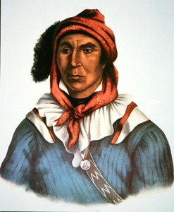 Julcee Mathla - Charles Bird King