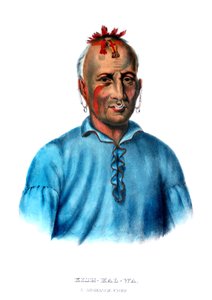 Kishkalwa, un chef Shawnee - Charles Bird King