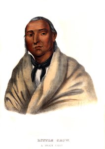 Petit Corbeau, un chef Sioux