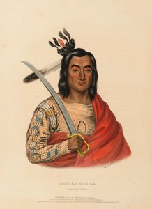 MON-KA-USH-KA. A SIOUX CHIEF, extrait de History of the Indian Tribes of North America (Histoire des tribus indiennes d