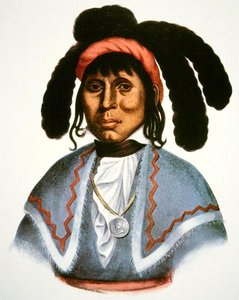 Micanopy (d.1849) c.1826 - Charles Bird King