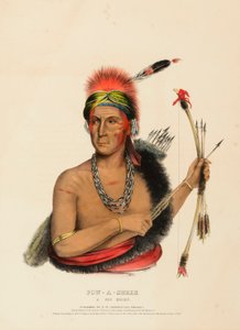 POW-A-SHEEK. UN FOX CHIEF.
