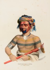 SHAU-HAU-NAPO-TINTA. UN CHEF IOWAY.