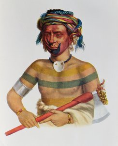 Shau-Hau-Napo-Tinia, un chef Iowa, 1837, illustration de 