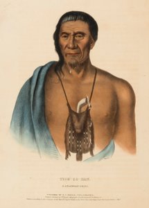 TISH-CO-HAN. A DELAWARE CHIEF, extrait de History of the Indian Tribes of North America (Histoire des tribus indiennes d