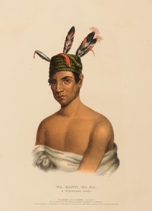 WA-KAWN-HA-KA, CHEF WINNEBAGO, extrait de l