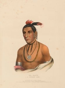 WA-KAWN, CHEF WINNEBAGO, extrait de l