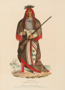 WA-NA-TA. GRAND CHEF DES SIOUX, extrait de History of the Indian Tribes of North America (Histoire des tribus indiennes d