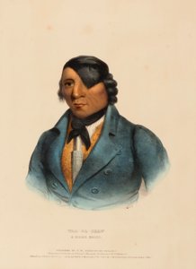 WAA-PA-SHAW. A SIOUX CHIEF, extrait de History of the Indian Tribes of North America (Histoire des tribus indiennes d