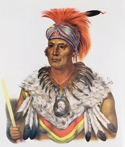 Wapella ou le Prince Chef des Renards, 1837, illustration de 