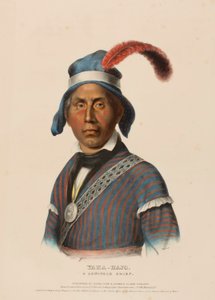 YAHA-HAJO. A SEMINOLE CHIEF, extrait de History of the Indian Tribes of North America (Histoire des tribus indiennes d