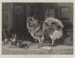 Marco sur la table de petit-déjeuner de Sa Majesté la Reine
