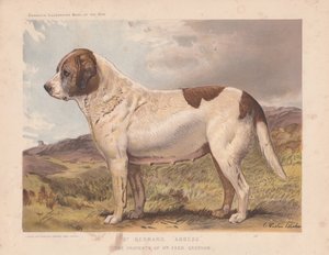 Saint Bernard "Abbesse" - Charles Burton Barber