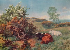 Paysage avec bétail à In the Nower, Dorking, vers 1899