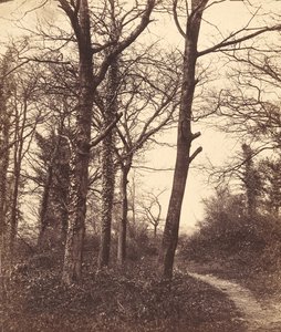 Hiver, 1855 - Charles Conway