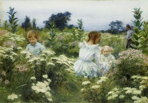 Parmi les fleurs sauvages