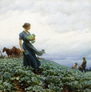 Le champ de choux - Charles Courtney Curran