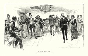 Les Salons de New York - Charles Dana Gibson