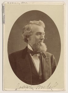 Portrait de Joseph Medill, c.1876 - Charles Delevan Mosher