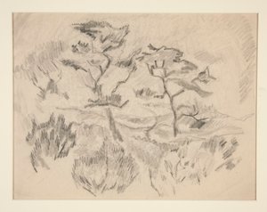 Paysage (Bermudes ou Provincetown ?) - Charles Demuth