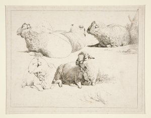 Moutons au pâturage