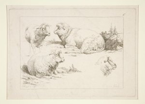 Étude de moutons