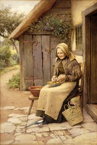 Un ami à plumes fines - Charles Edward Wilson