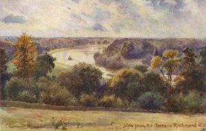 La Tamise : Vue depuis la terrasse de Richmond Hill