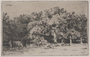 Un coin de la forêt de Fontainebleau - Charles Emile Jacque