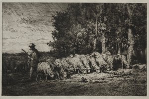 Un troupeau au bord d