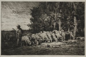 Un troupeau au bord d