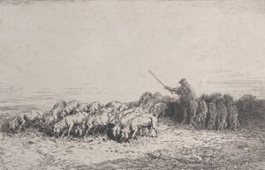 Un troupeau de cochons