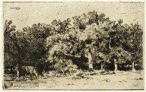 Une partie de la forêt de Fontainebleau - Charles Emile Jacque