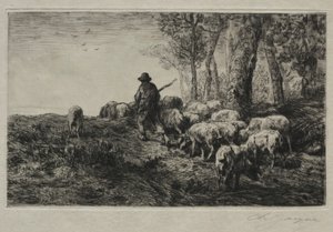 Un troupeau de porcs
