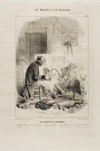 Un Hôpital pour Animaux (plaque 20)