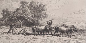 Attelage de bœufs, 1868 - Charles Emile Jacque