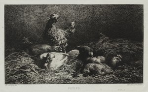 Poules - Charles Emile Jacque