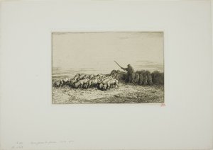 Troupeau de cochons